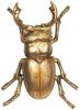 Clayre & Eef Beeld 24x17x6 cm Goudkleurig Kunststof Insect online kopen
