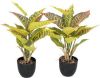 Kopu ® 2 stuks Kunstplant Croton 35 cm 14 bladeren in zwarte pot online kopen