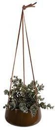 Light & Living pt, Hangende plantenpot Unique Glazuur Karamel Bruin 16x8, 4cm