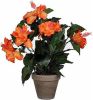 Mica Decorations Hibiscus Kunstplant Oranje In Grijze Pot H40 X D30 Cm Kunstplanten online kopen