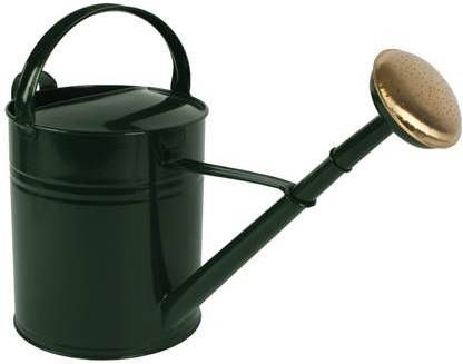 TalenTools Talen Tools Gieter Metaal 10L Groen