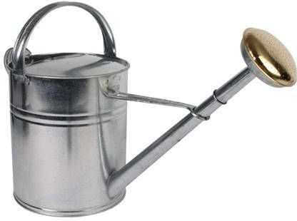 TalenTools Talen Tools Gieter Metaal 10L Verzinkt