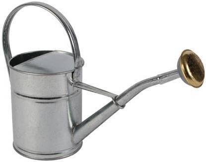 TalenTools Talen Tools Gieter Metaal 2L Verzinkt