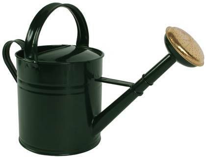 TalenTools Talen Tools Gieter Metaal 5L Groen