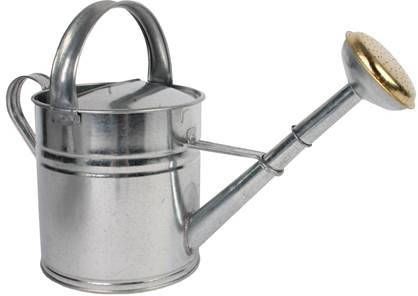 TalenTools Talen Tools Gieter Metaal 5L Verzinkt