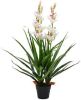 VidaXL Kunstplant met pot cymbidium orchidee 100 cm groen online kopen