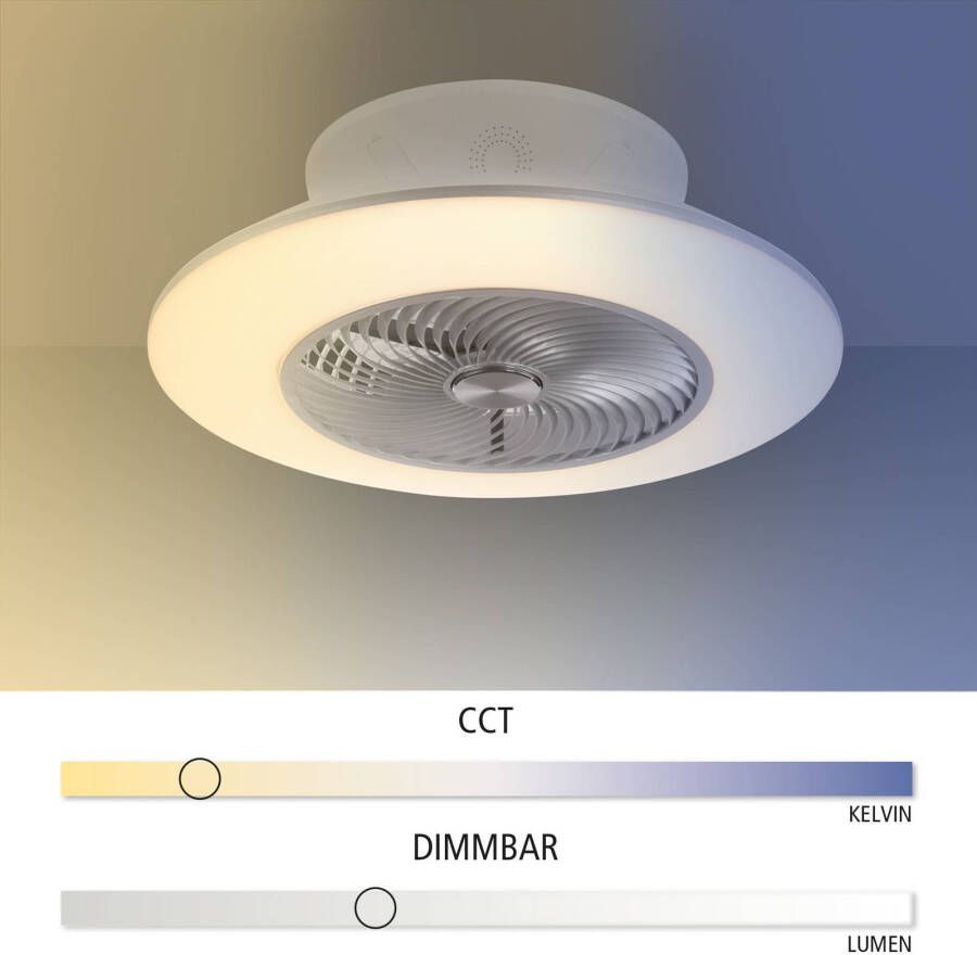 Paul Neuhaus Leuchten Direkt Plafondventilator Leonard Wit Zilver Ø 58cm