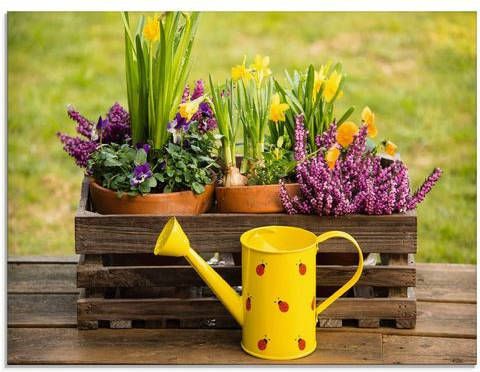 Artland Print op glas Houten kistje heide narcis gieter(1 stuk )