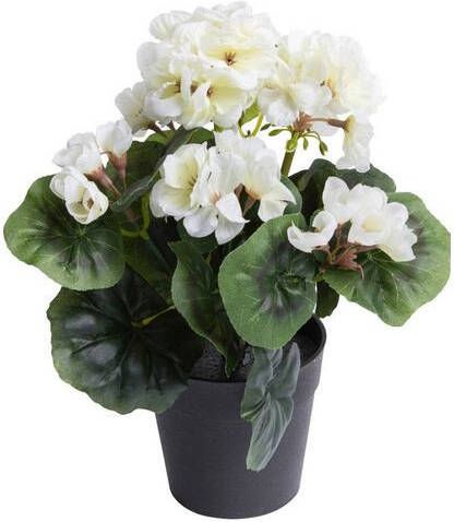 Warentuin Pelargomium In Pot Cream 28 Cm Kunstplant Nova Nature