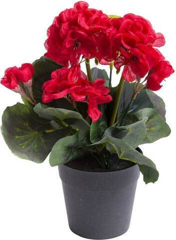 Botanic Haus Kunstbloem Geranium met 6 stelen