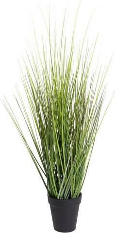 Warentuin King Festuca Incl Pot 61 Cm Kunstplant Nova Nature