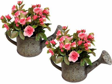 I.GE.A. Kunstplant Wilde rozen in gieter(set van 2)(set )
