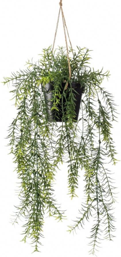 Botanic Haus Kunst potplanten Asparagus plantenhanger