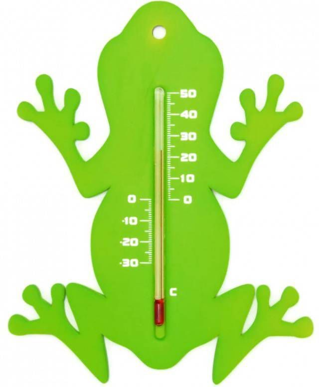 Shoppartners Binnen/buiten Thermometer Groene Kikker 15 Cm Tuindecoratie Dieren Kikkers Artikelen Buitenthemometers