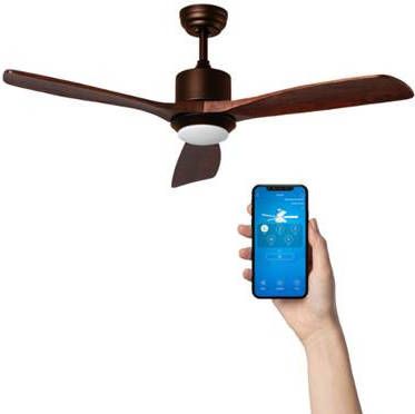 Bussandri Plafondventilator Metaal Bruin