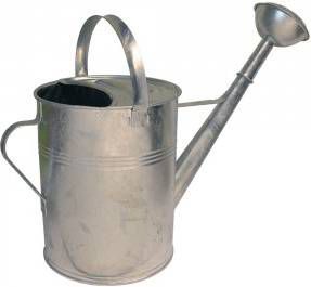 Merkloos Gieter Van Zink 9 Liter Met Broeskop Gieters Van Verzinkt Metaal